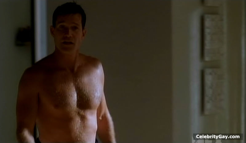Dylan Walsh Nude. 