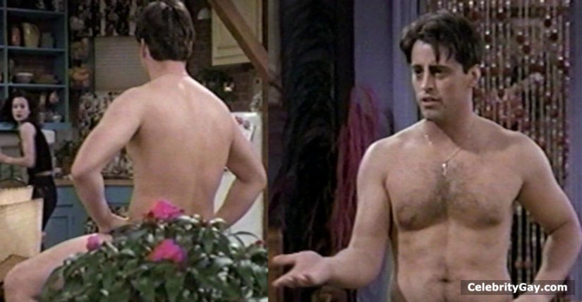 Matt LeBlanc Nude. 