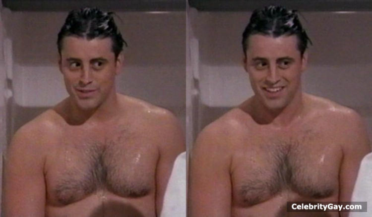 Matt LeBlanc Nude. 