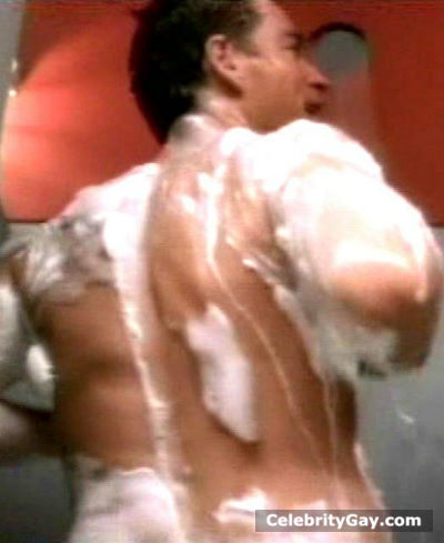 Michael Weatherly Nude. 