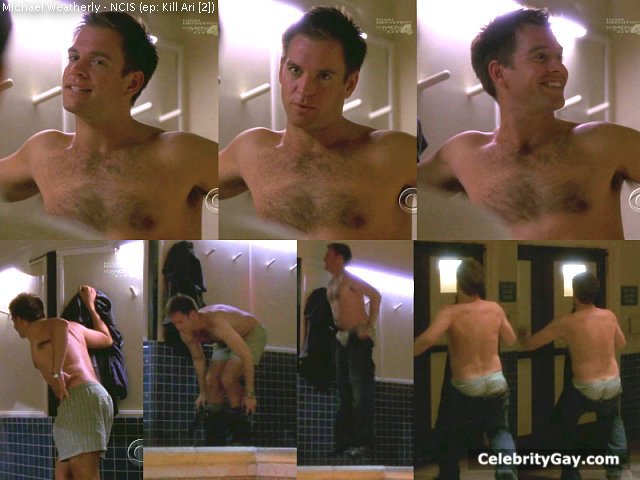 Michael Weatherly Nude. 