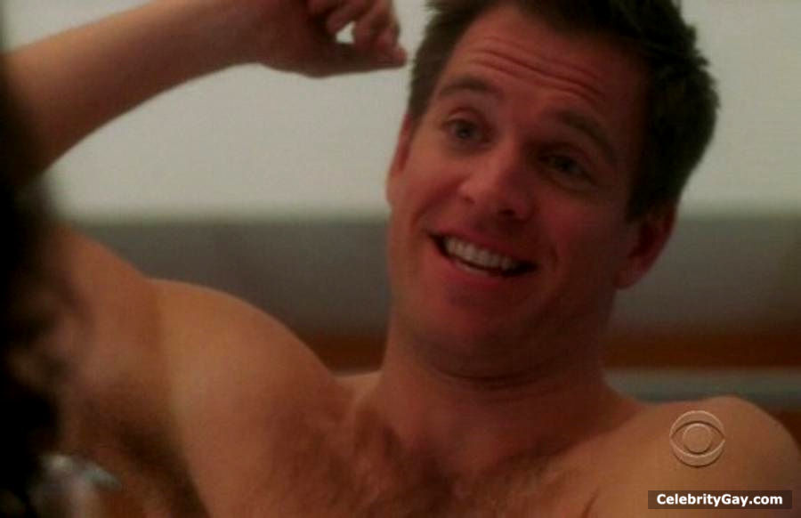 Michael Weatherly Nude. 