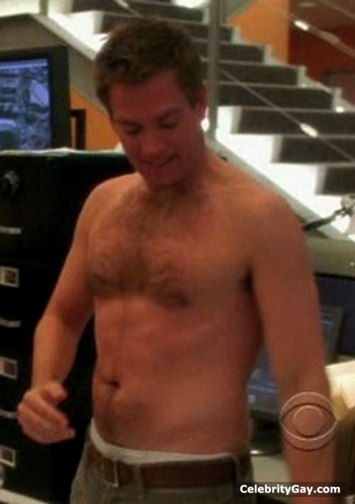 Michael Weatherly Nude. 