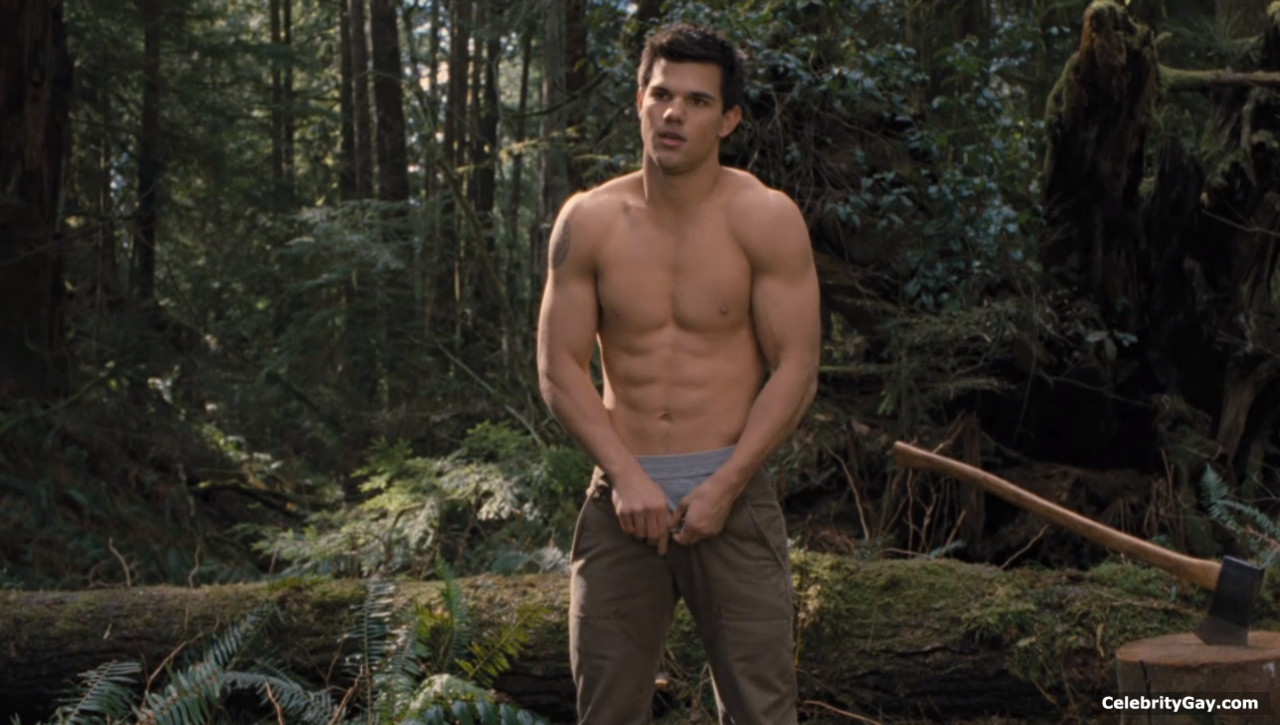 Taylor Lautner Nude Fake 19