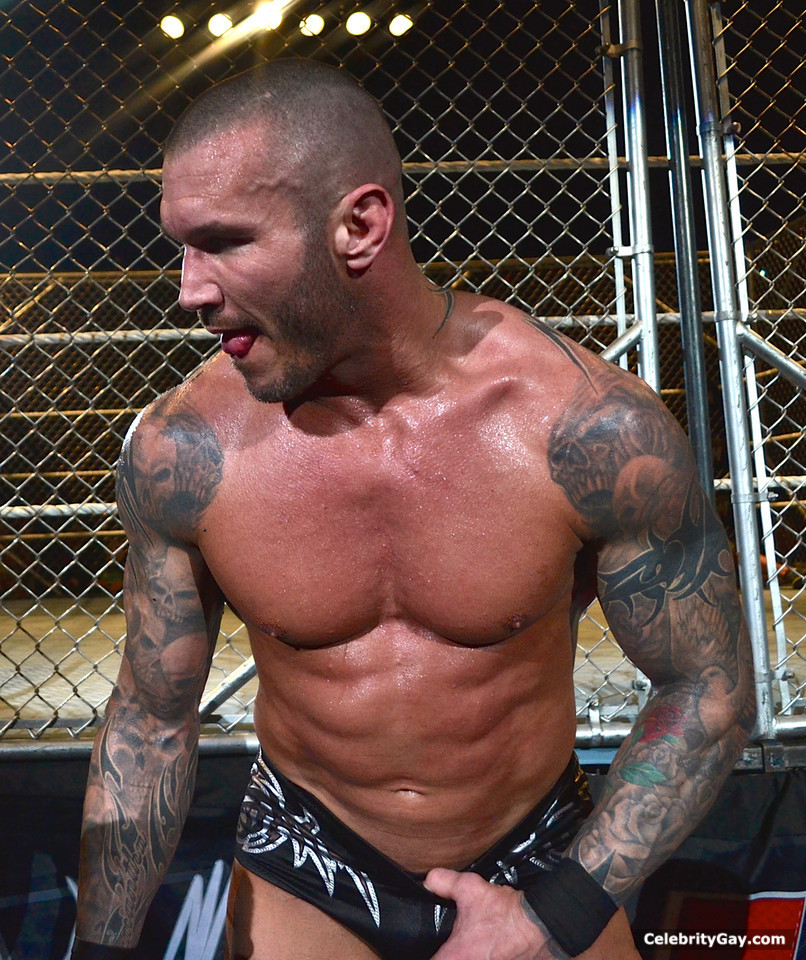 Gay pictures of randy orton